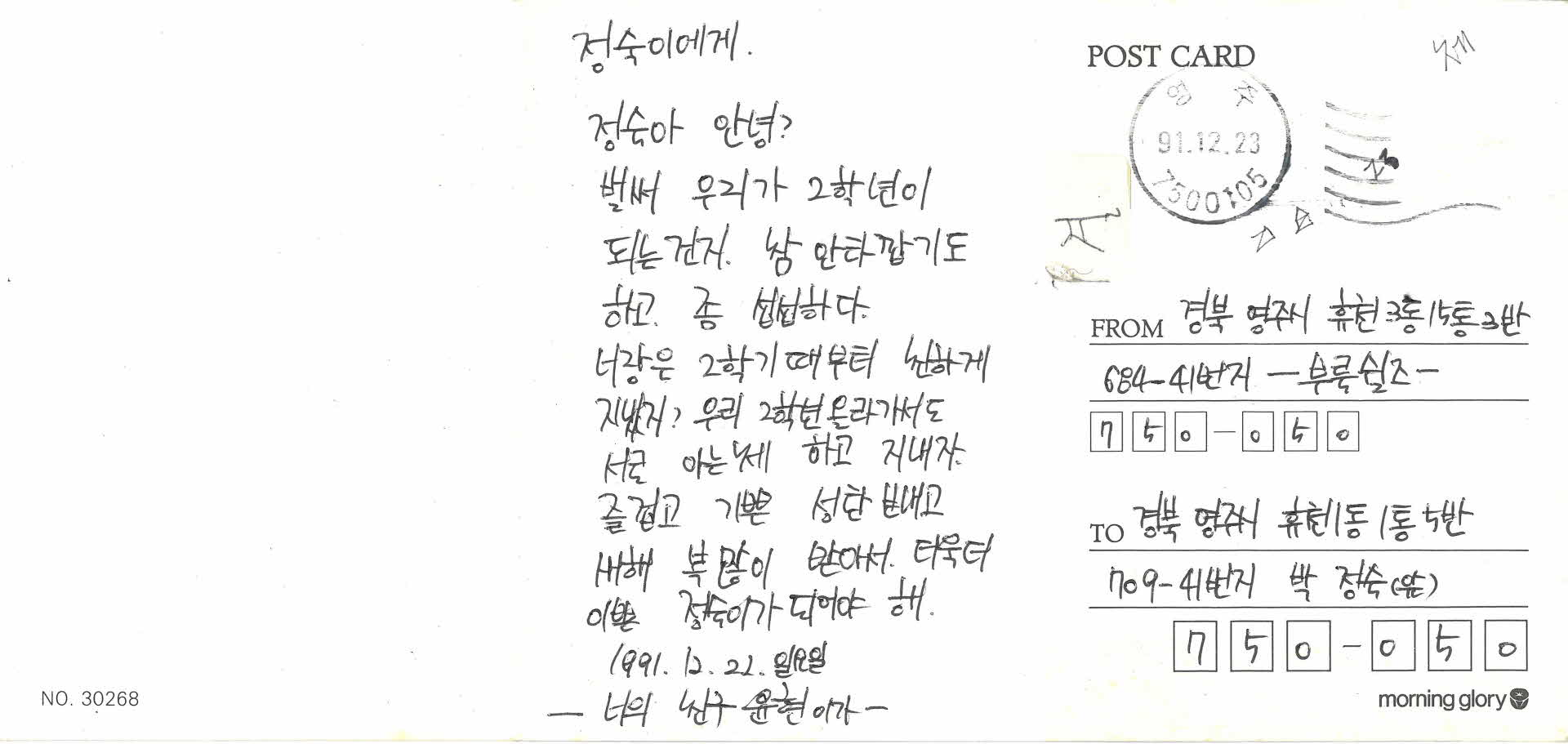 그림엽서(곰인형)