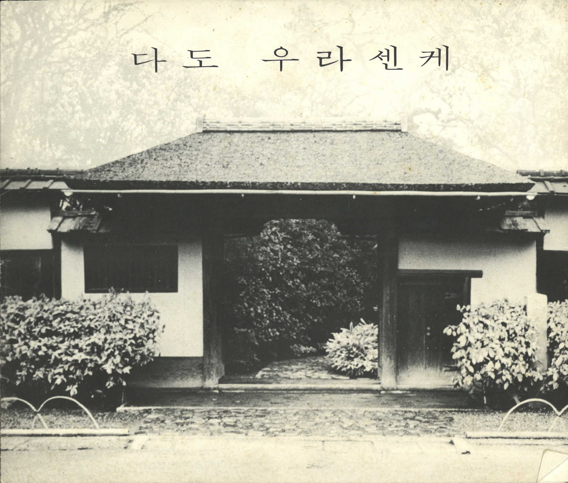 다도 우라센케 팜프렛