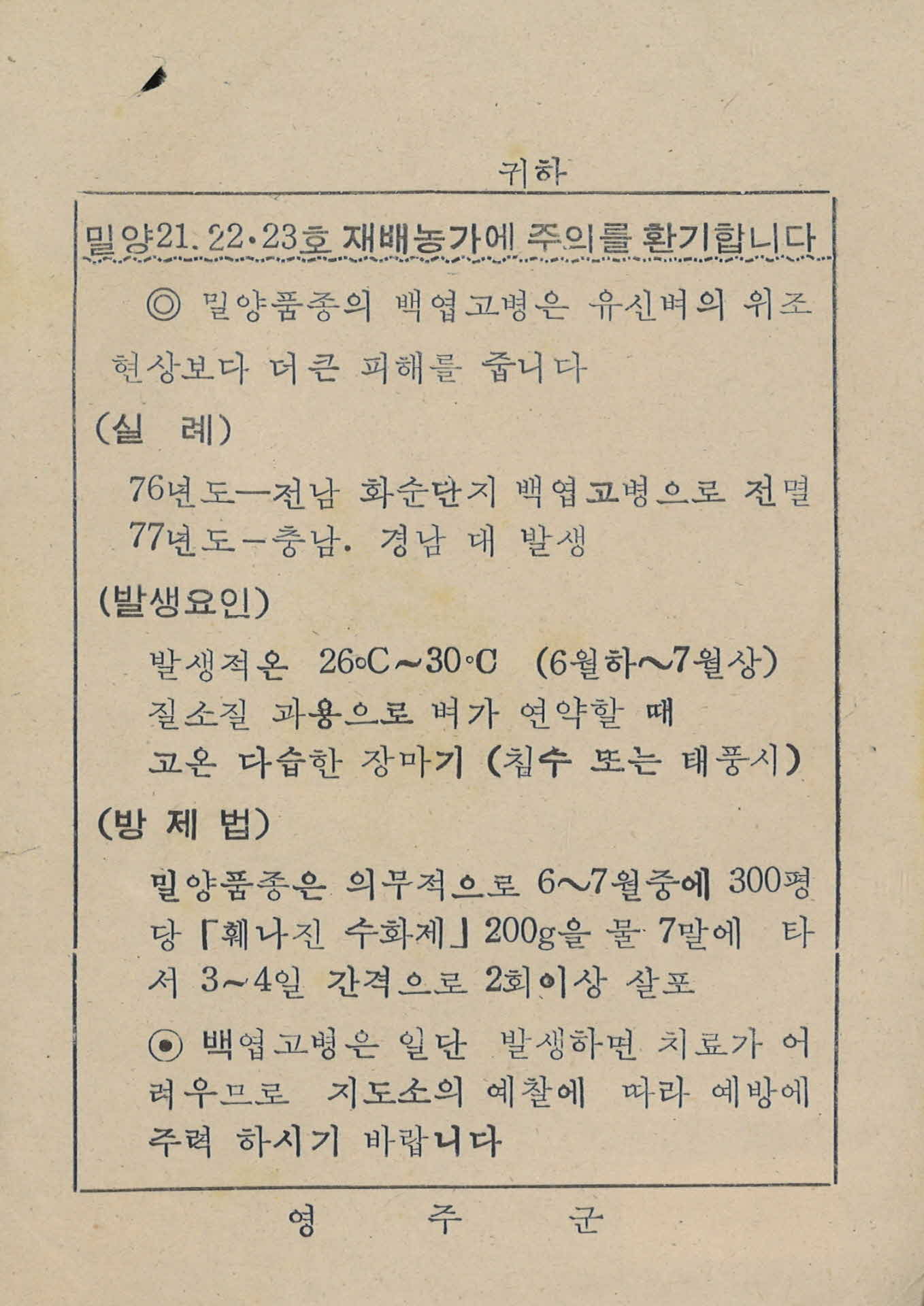 밀양21,22,23호 재배농가 주의문