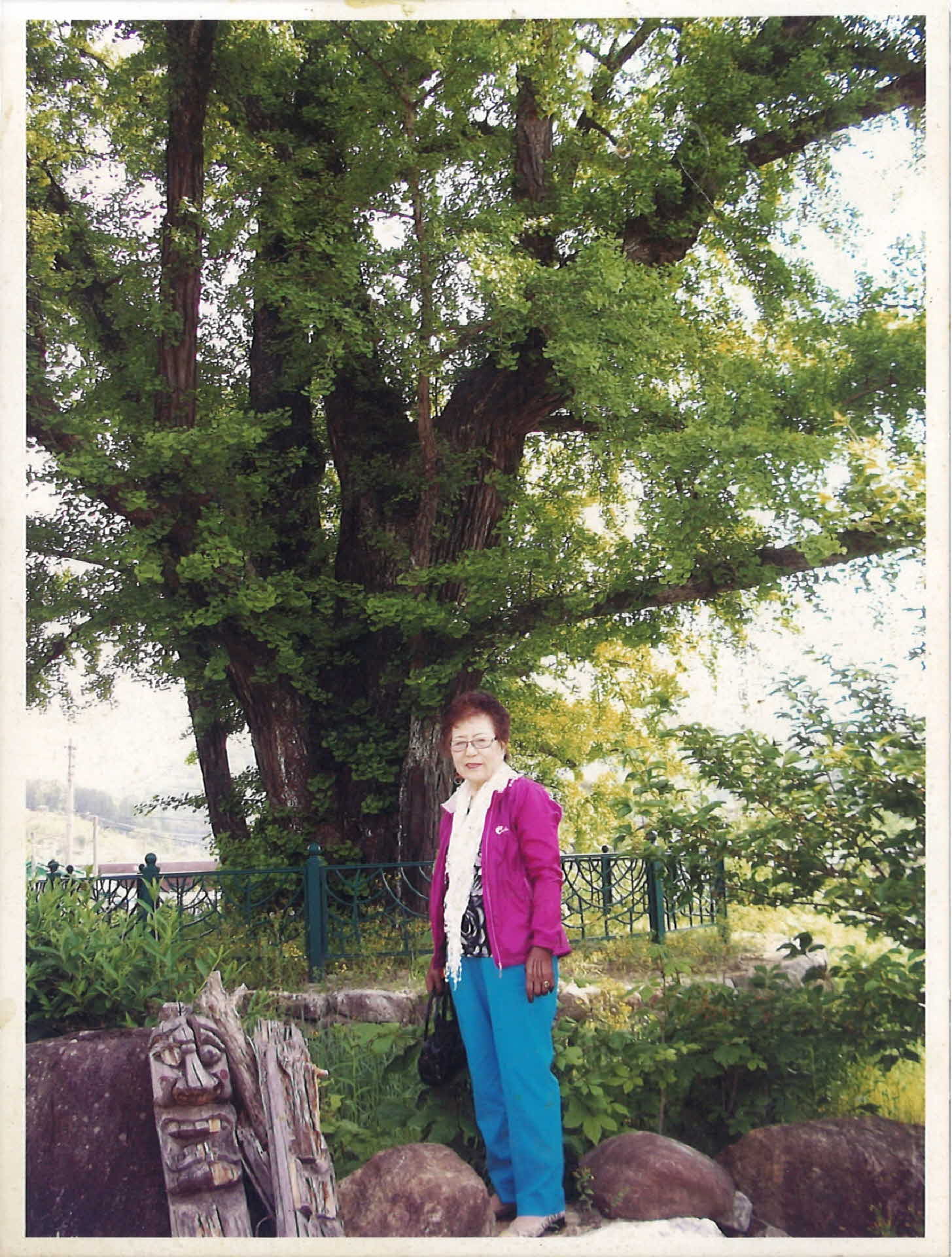 생활사진-순흥면 금선당 은행나무앞 1