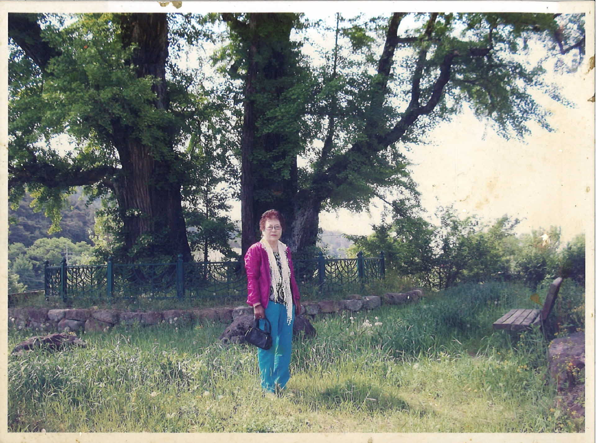 생활사진-순흥면 금선당 은행나무앞 4