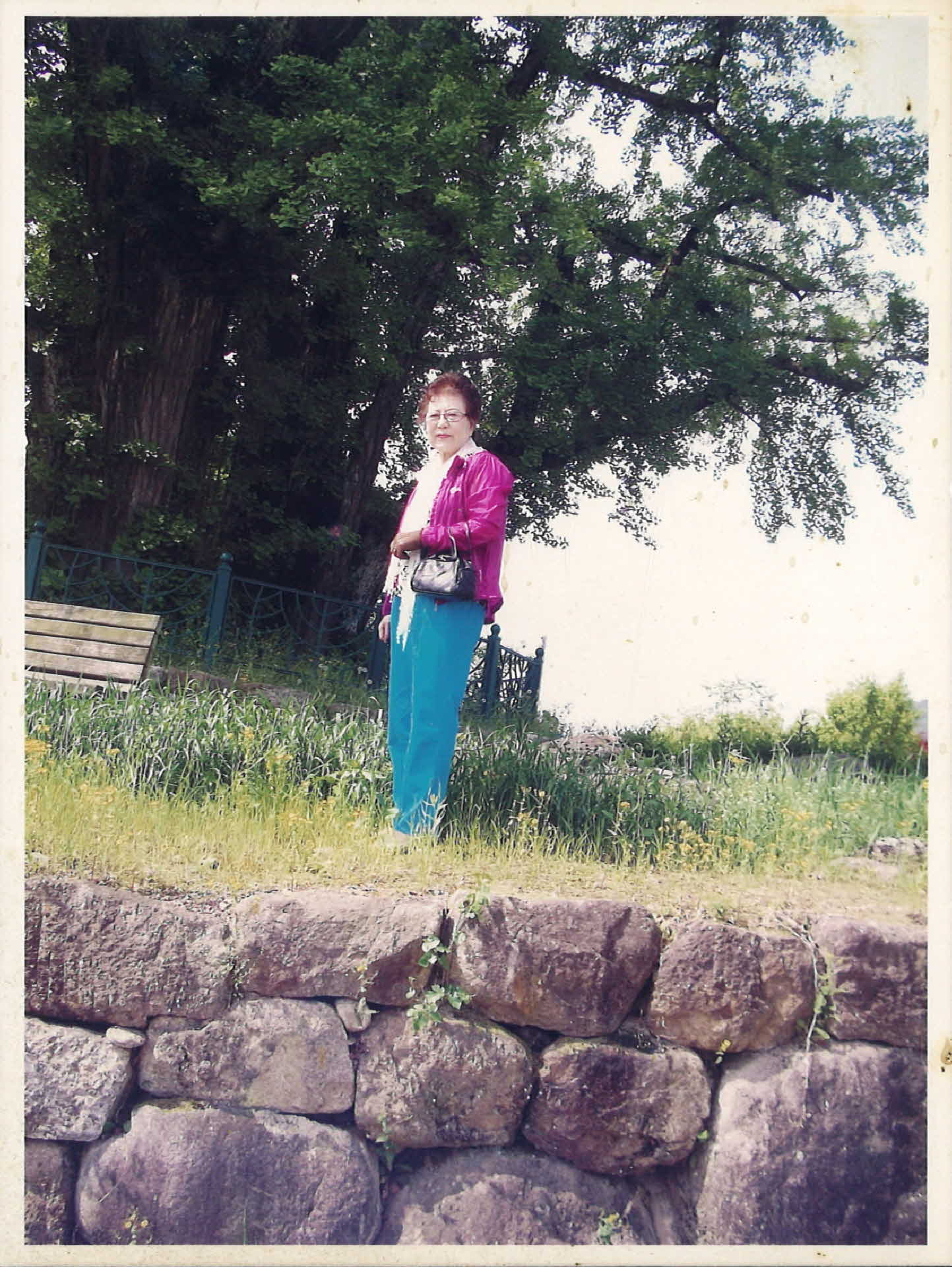 생활사진-순흥면 금선당 은행나무앞 5