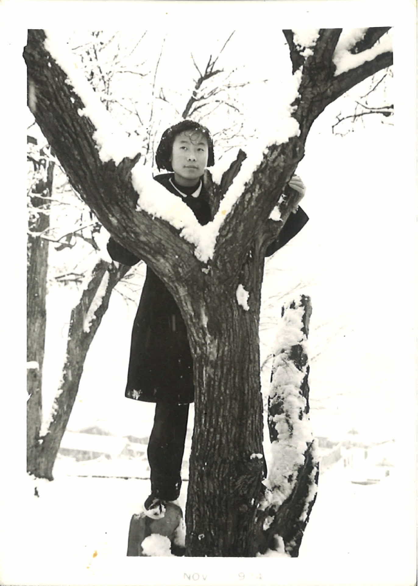 사진-멍 때리는 사진, 눈 덮힌 나무