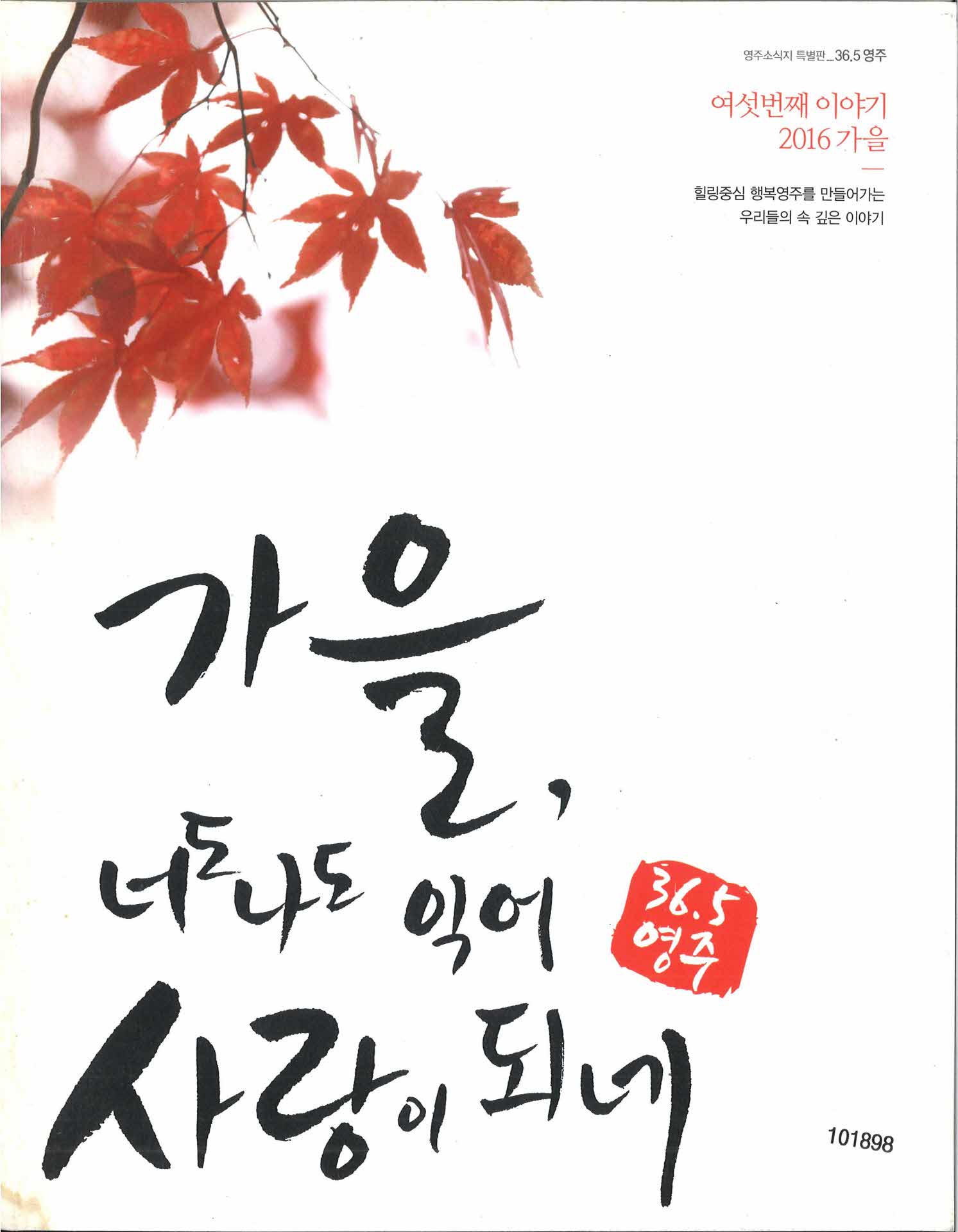 가을 너도 나도 익어 사랑이 되네