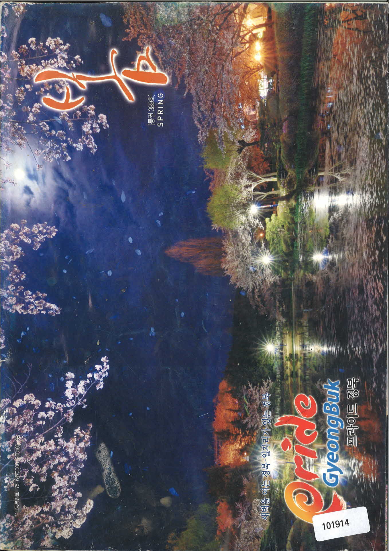 프라이드 경북 봄