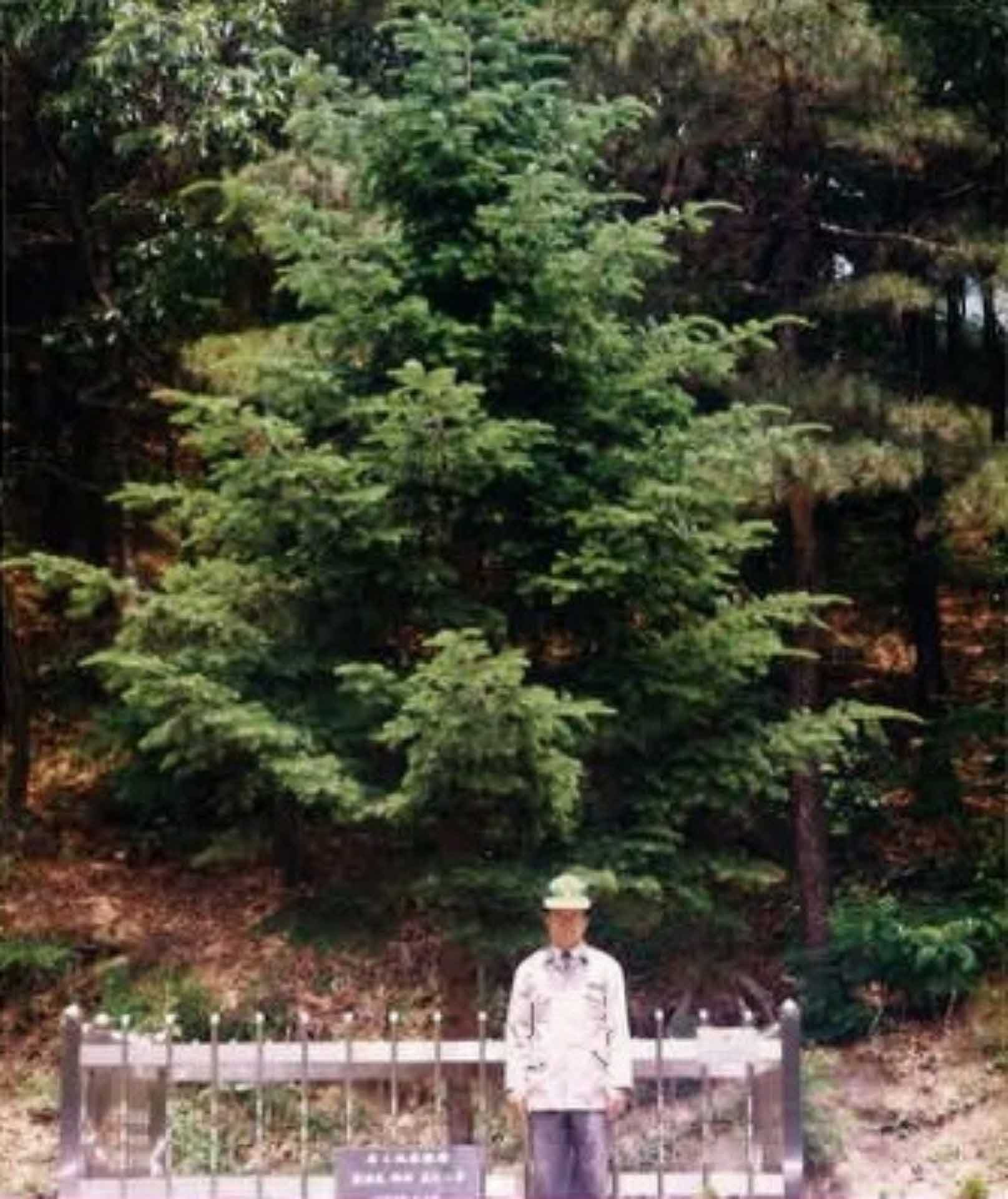 행사사진-남4, 박정희대통령기념식수