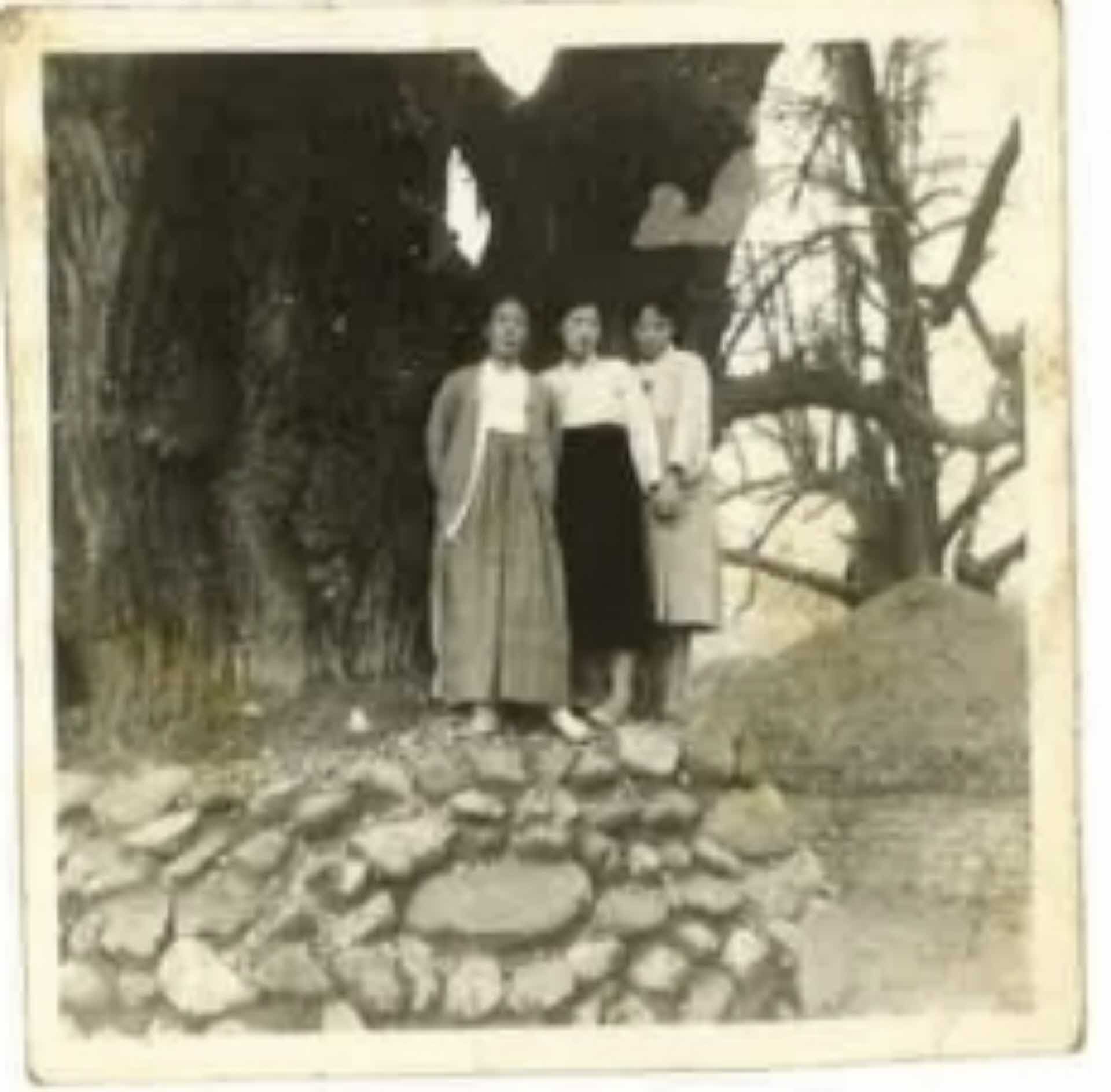 순흥면 봉도각 배경, 여3