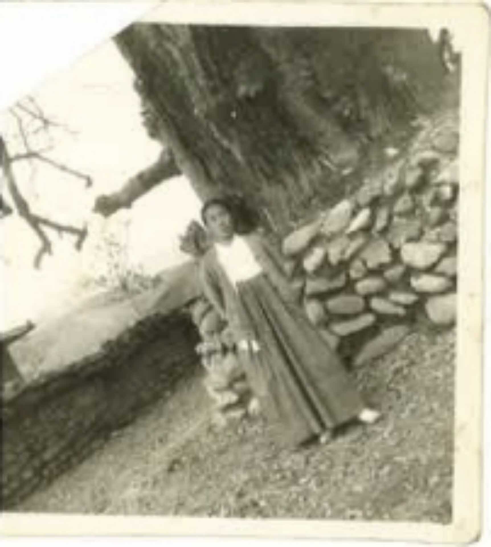 순흥면 봉도각 배경, 여1