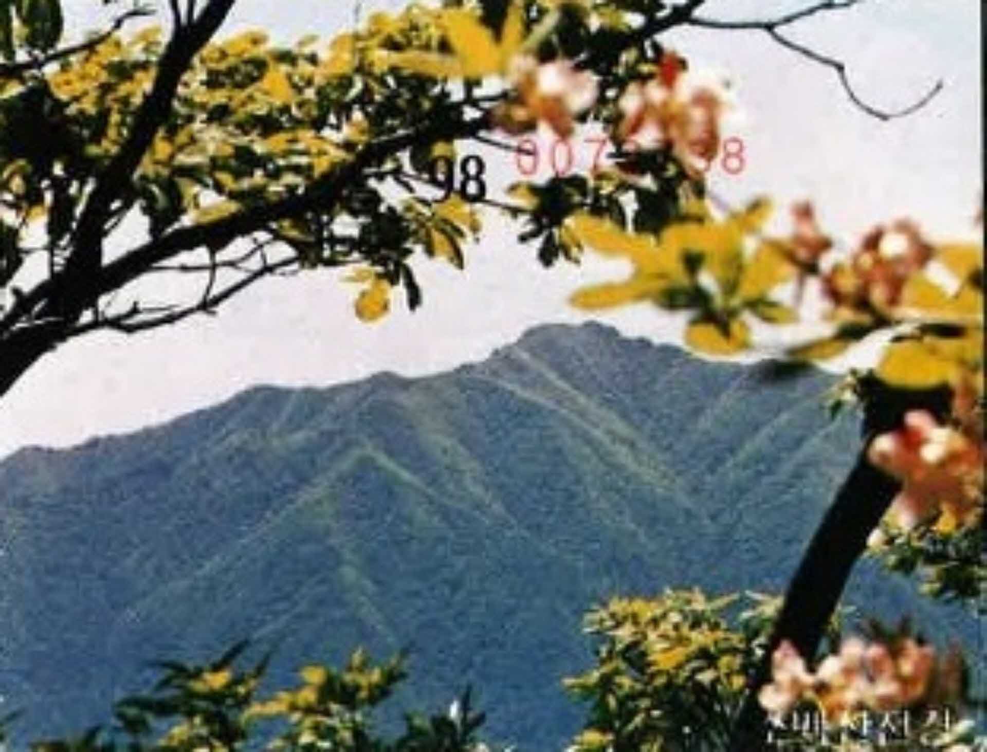 소백산국립공원입장권 영수증