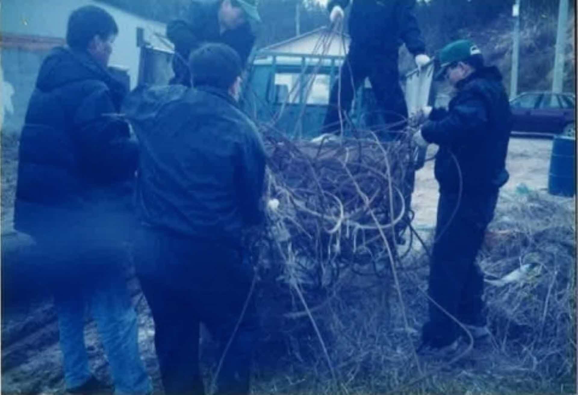 새마을운동 활동사진-철근수거