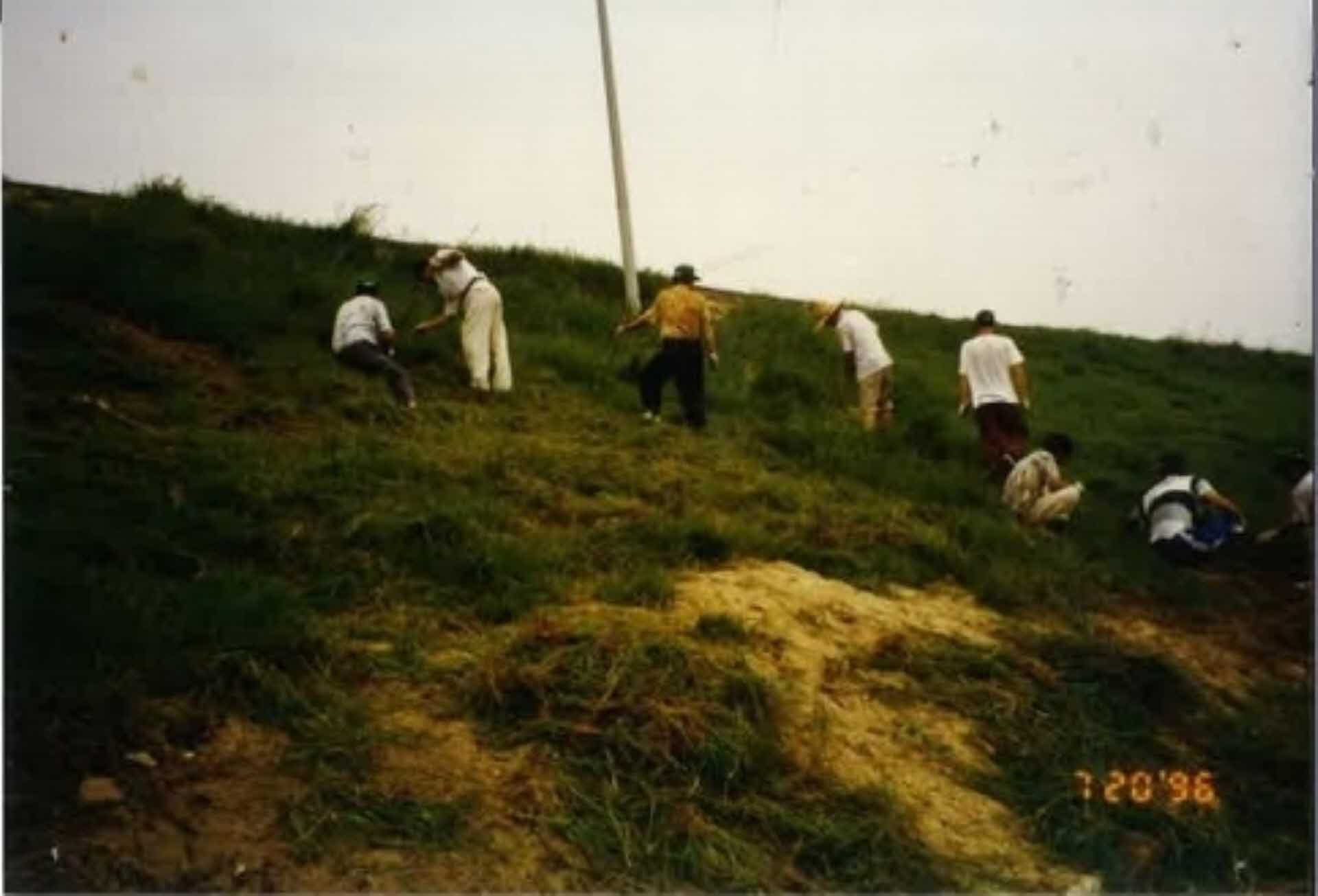 새마을운동 활동사진-서천둔치주변 정비