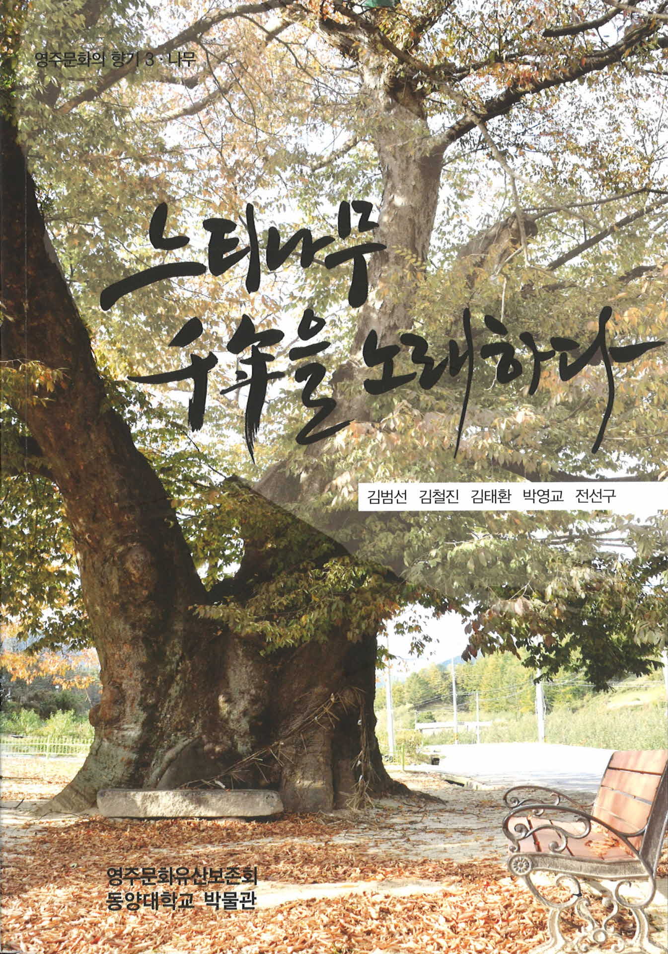 느티나무 천년을 노래하다