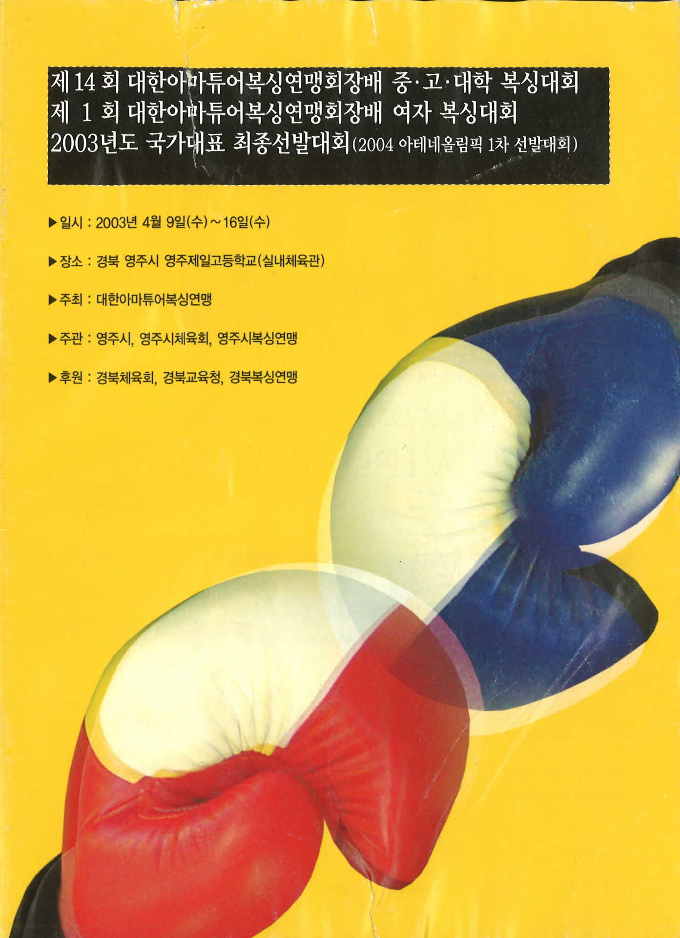 2003년도 복싱 국가대표 최종선발대회 팜프렛