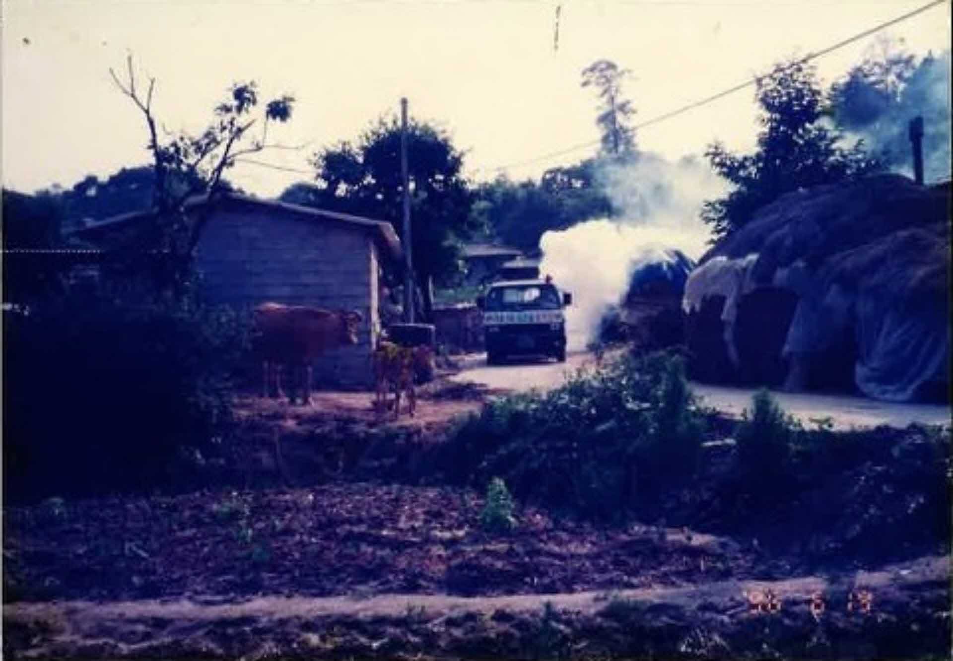 새마을운동 활동사진-새마을방역단