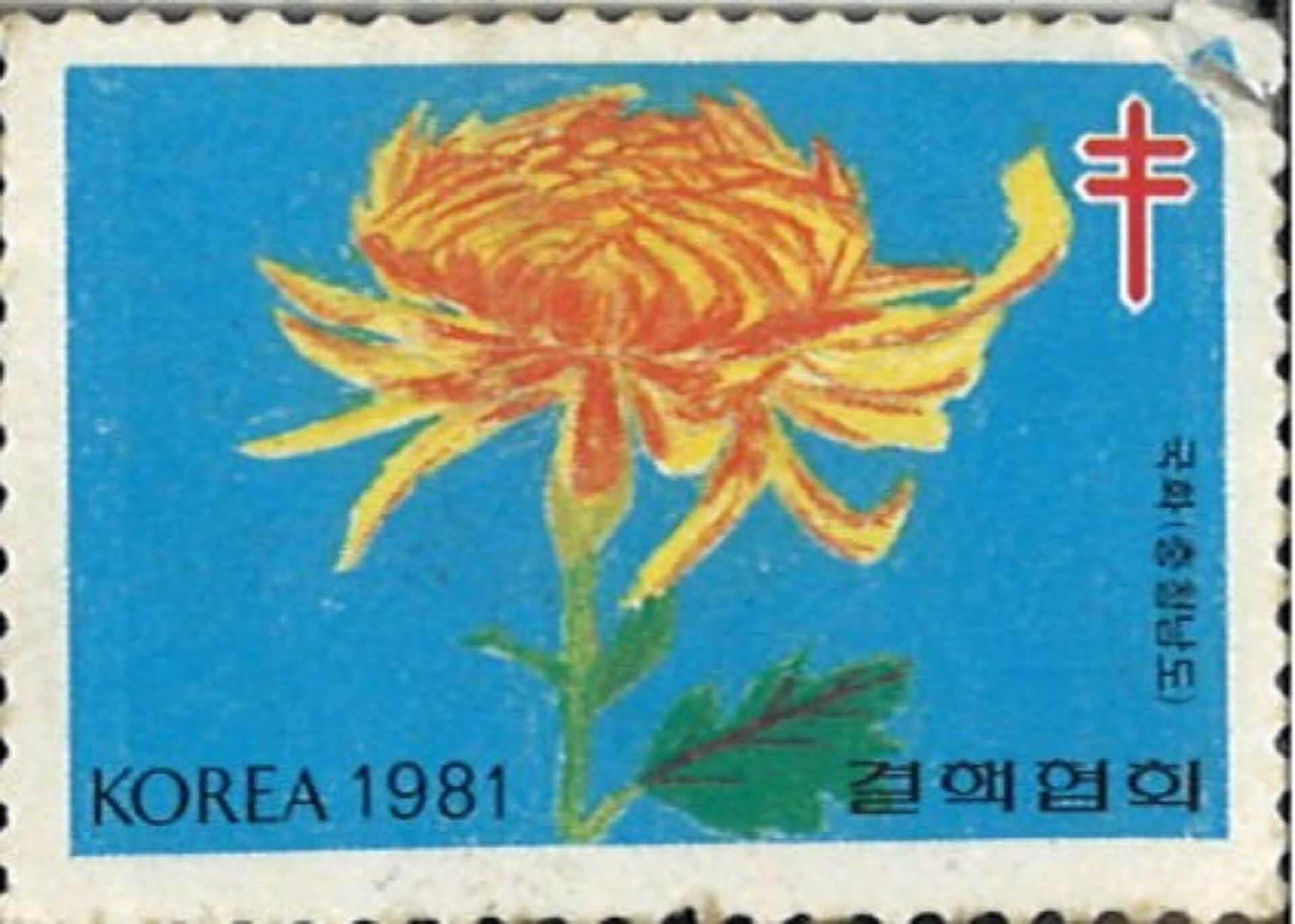 우표 결핵협회 국화
