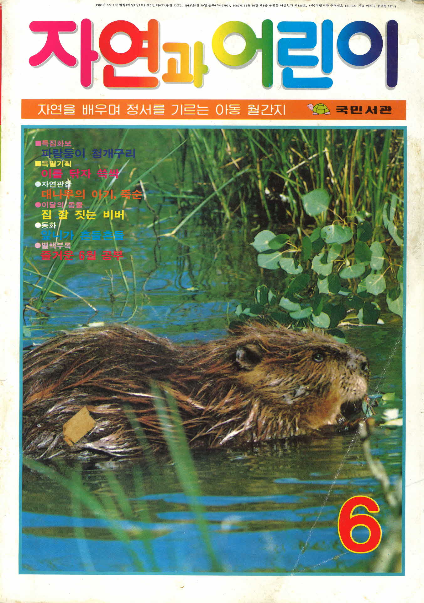 1988년 자연과어린이(국민서관)