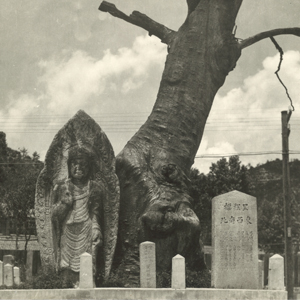 영주를 기억하는 우리들