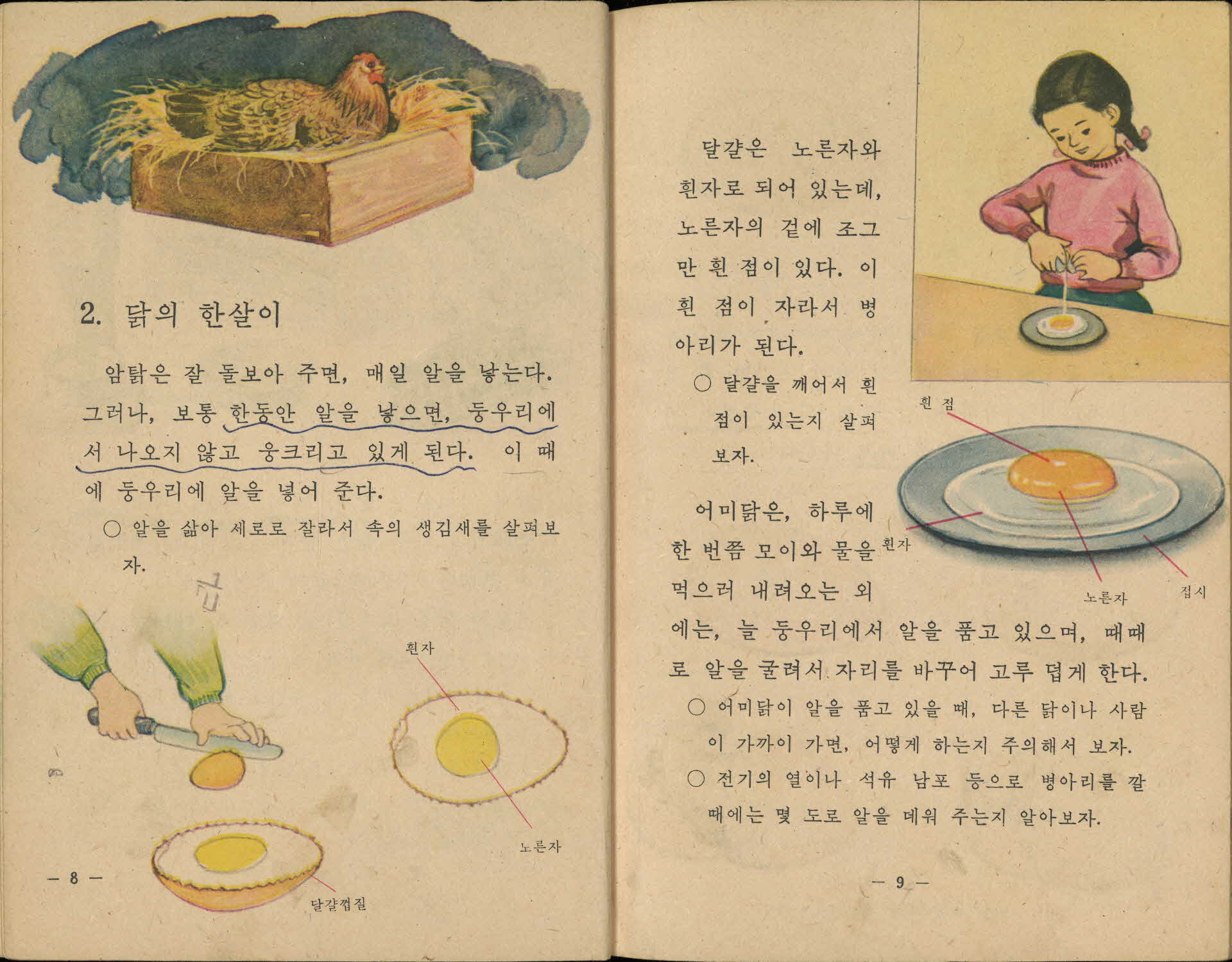 국민학교 4학년 1학기 『자연』 교과서