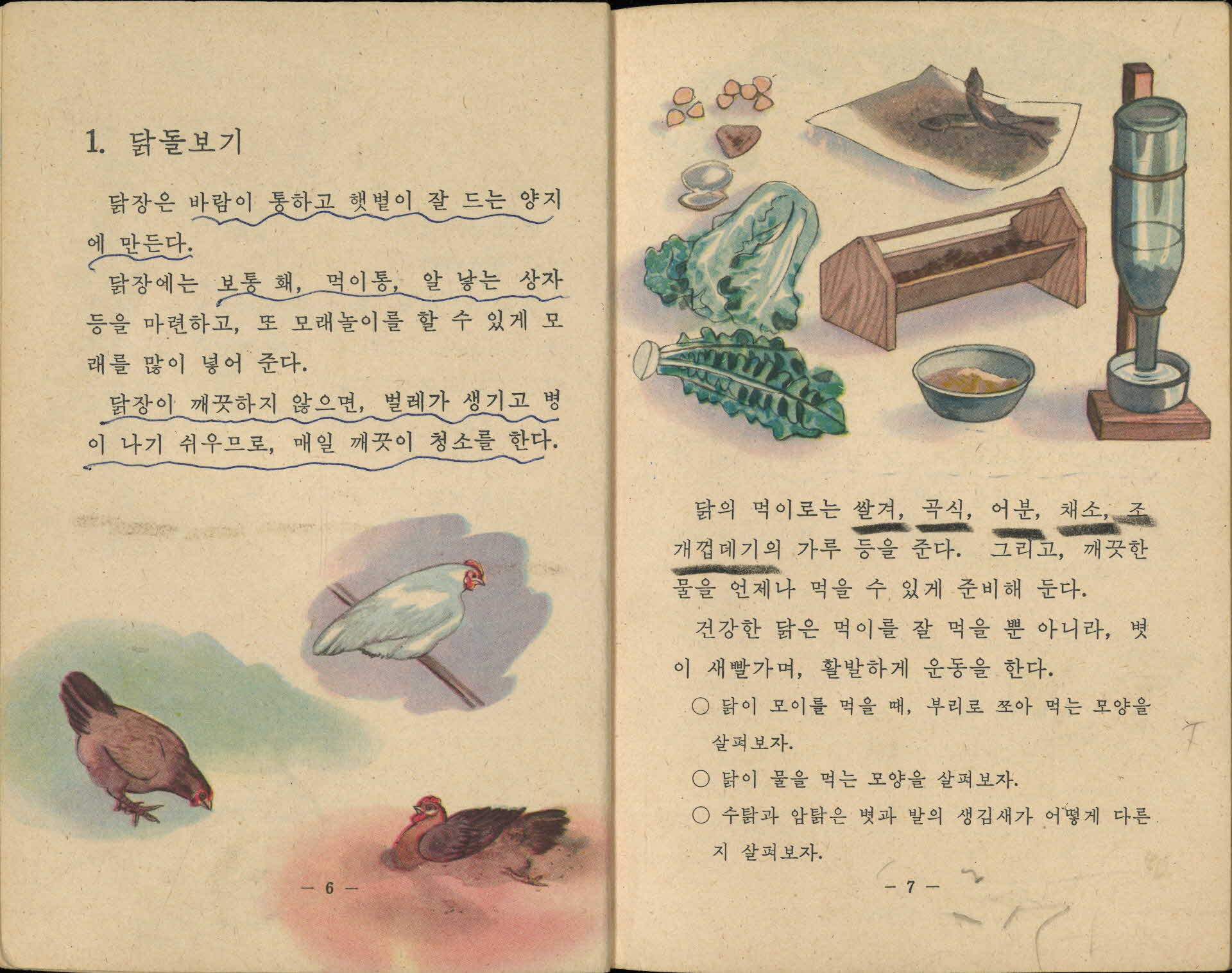 국민학교 4학년 1학기 『자연』 교과서