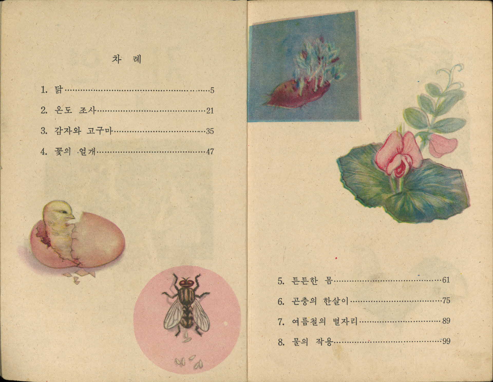 국민학교 4학년 1학기 『자연』 교과서