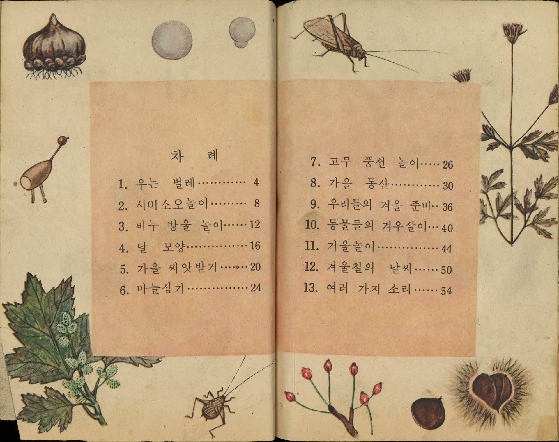 국민학교 2학년 2학기 『자연』 교과서