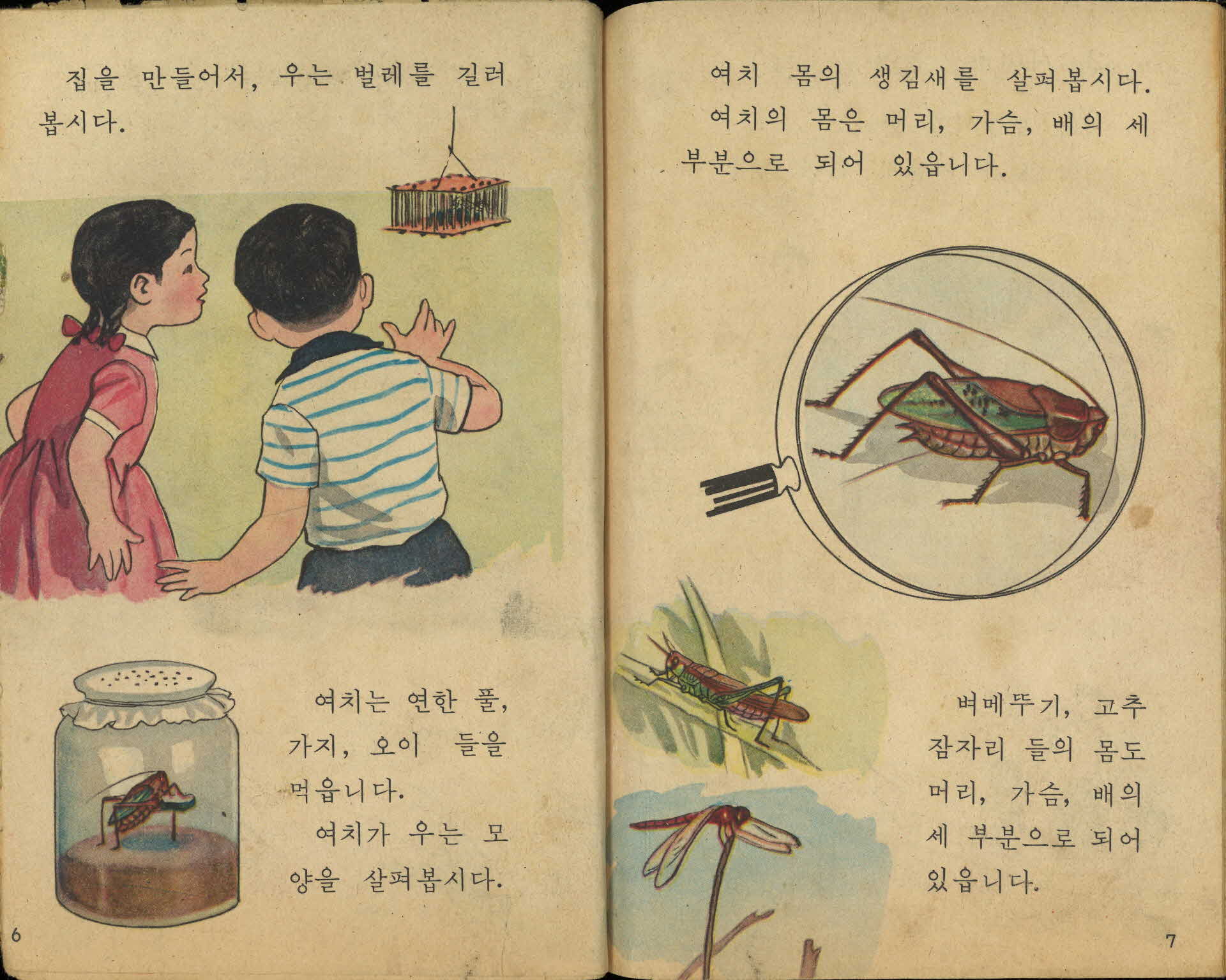 국민학교 2학년 2학기 『자연』 교과서