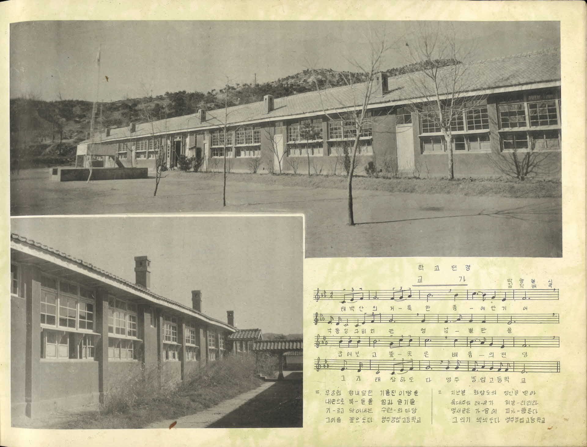 영주농업고등학교 제15회 졸업앨범