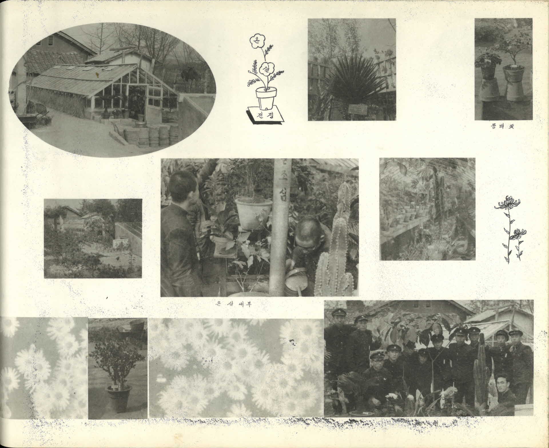 영주종합고등학교 제17회 졸업앨범