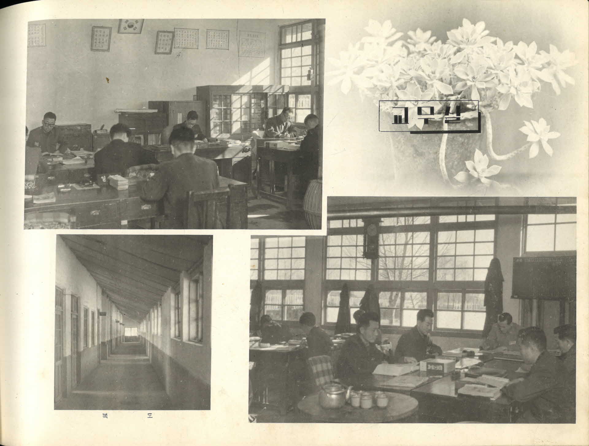 영주농업고등학교 제15회 졸업앨범