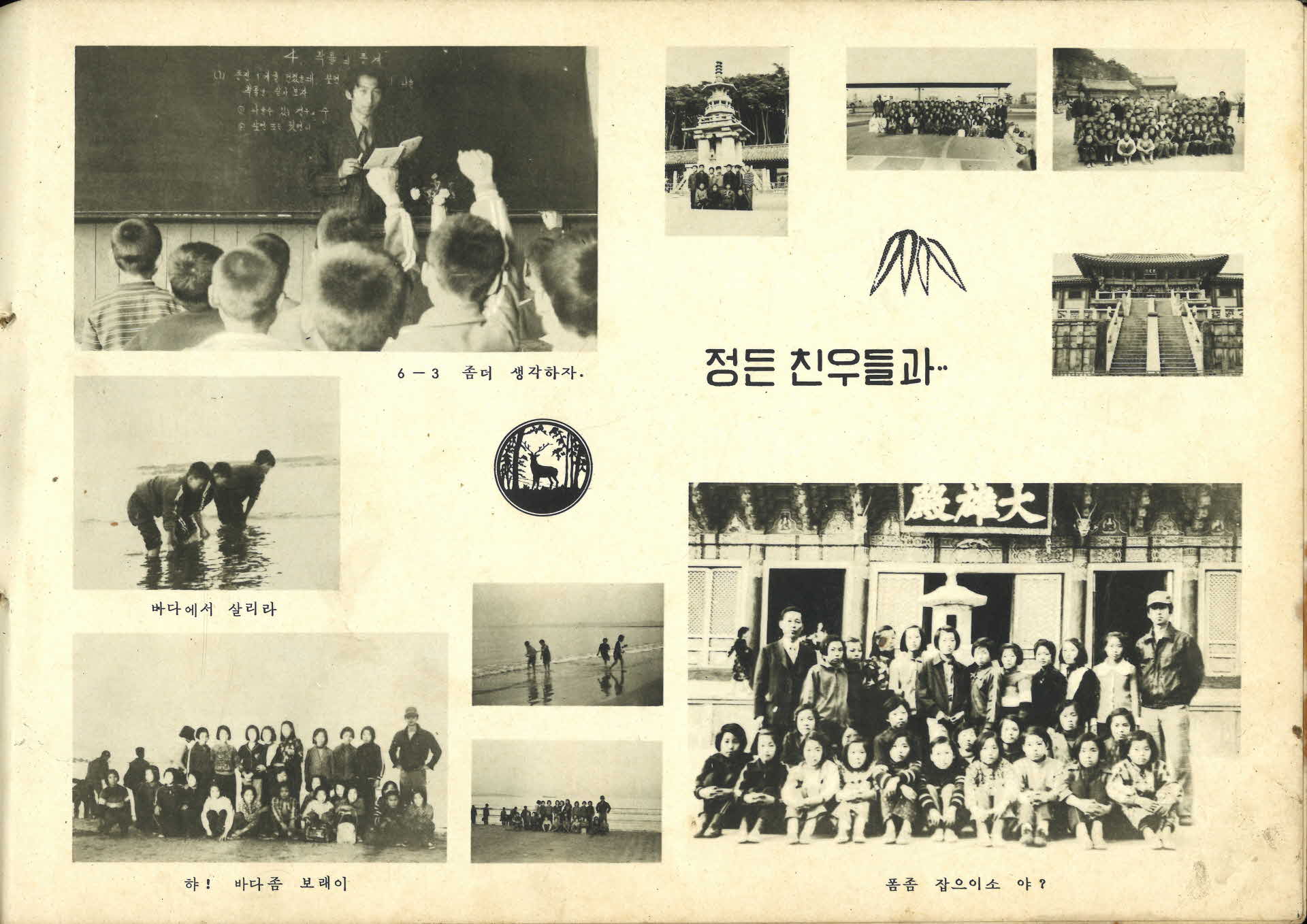 순흥국민학교 제62회 졸업기념