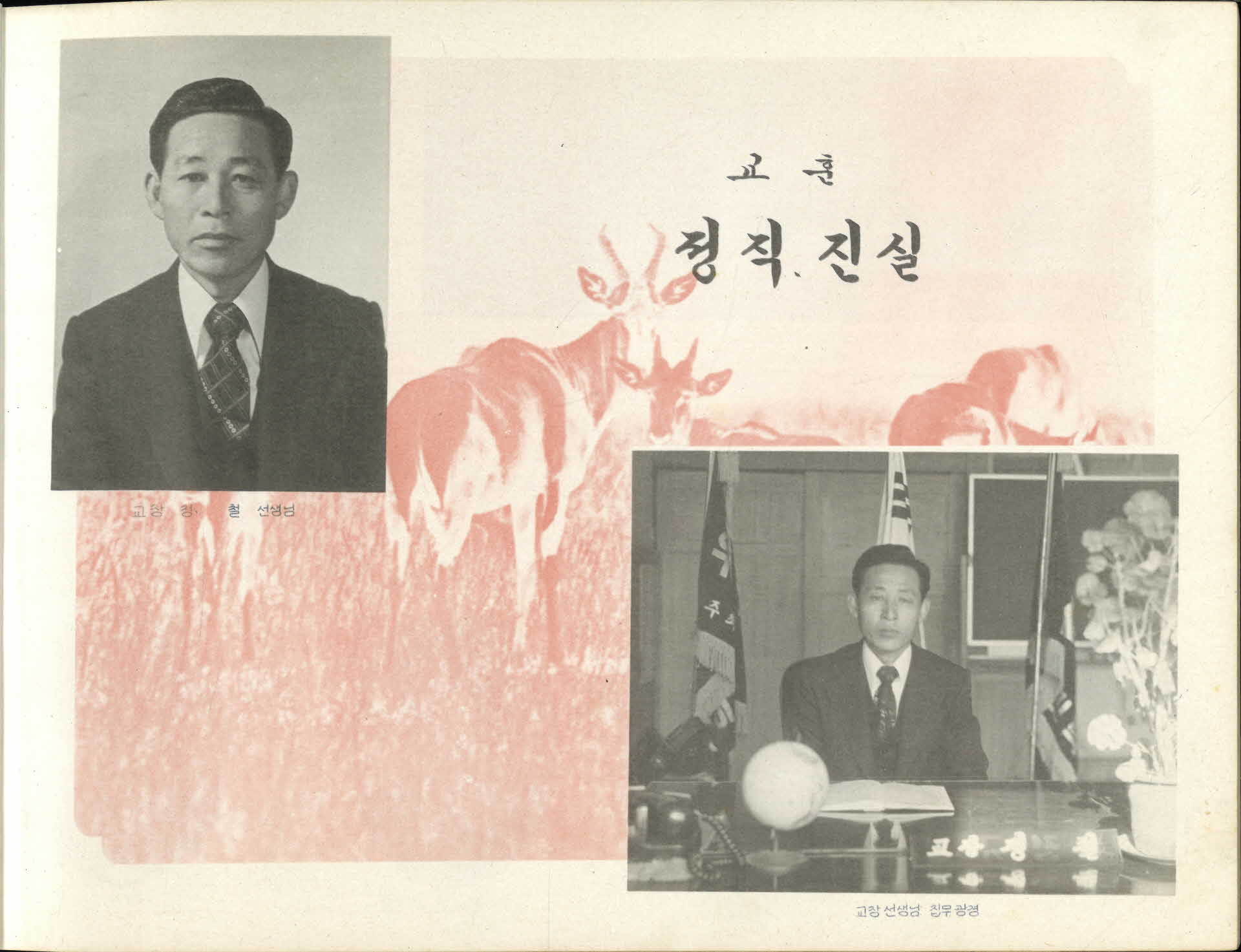 순흥국민학교 제63회 졸업기념