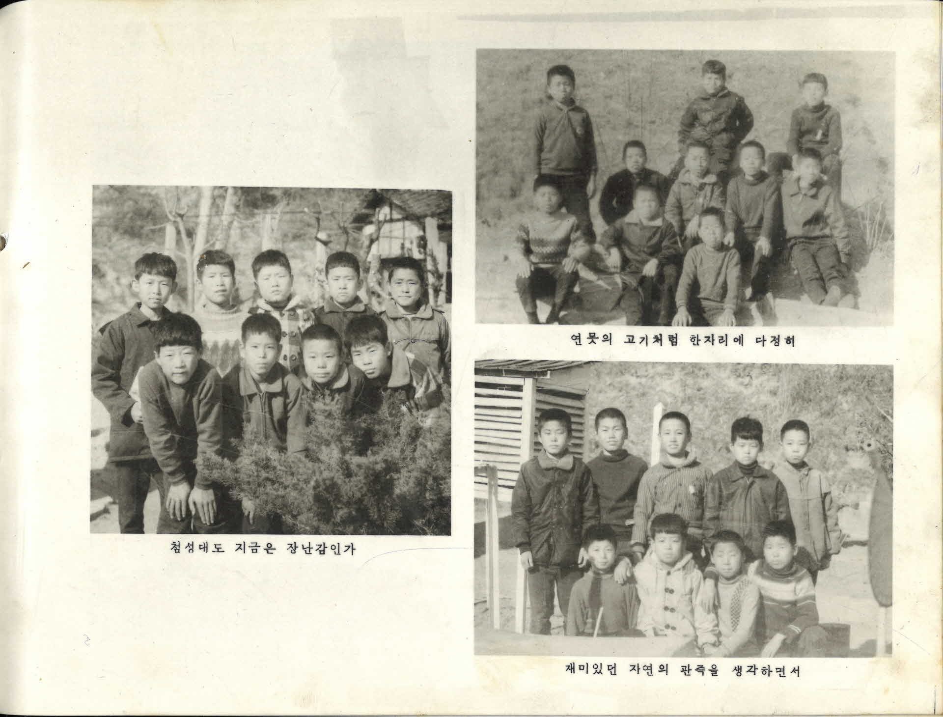 평은국민학교 제47회 졸업기념