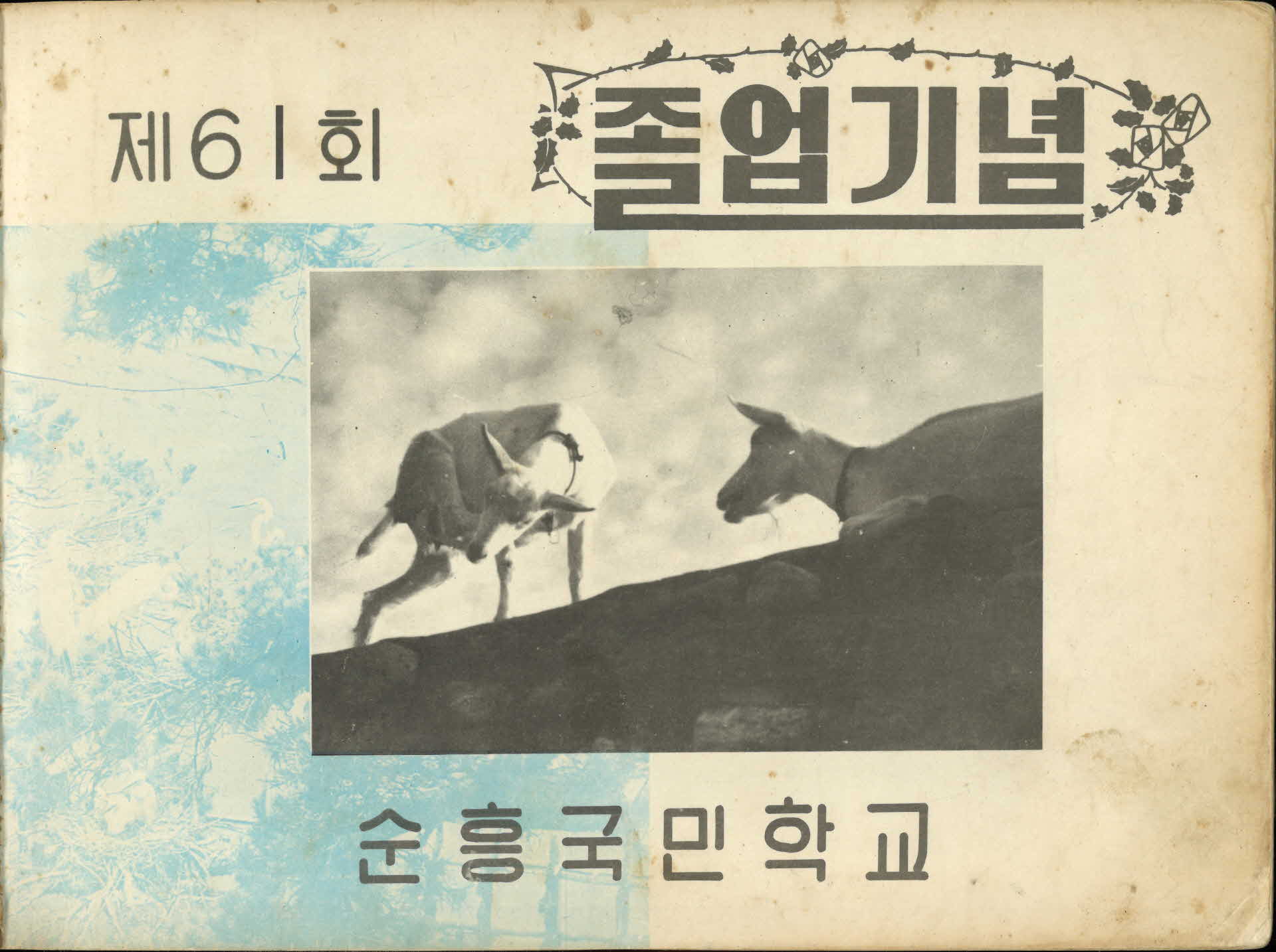 순흥국민학교 제61회 졸업기념