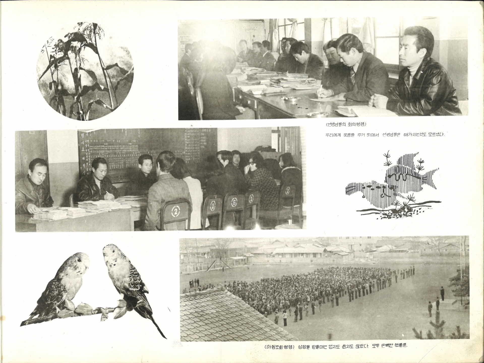 풍기국민학교 제66회 졸업기념