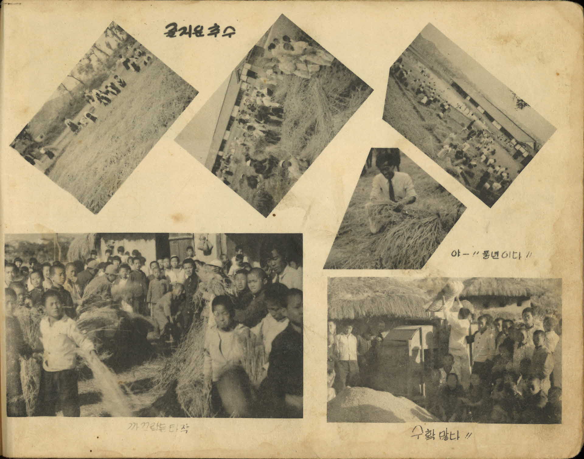 도촌국민학교 제4회 졸업기념