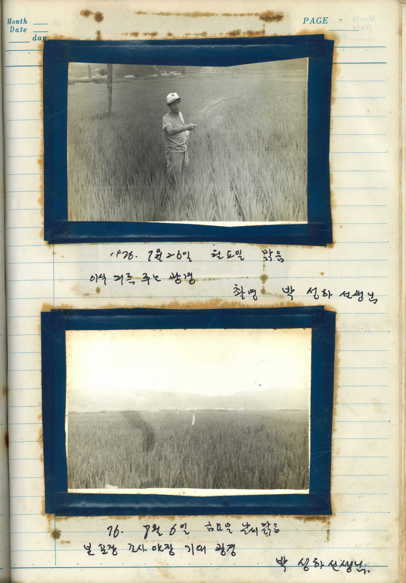 임용빈 「유신벼 다수확과제장」