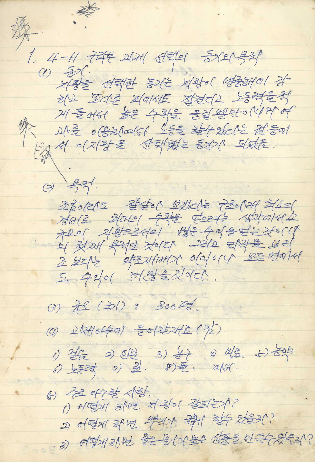 지황 과제 기록장