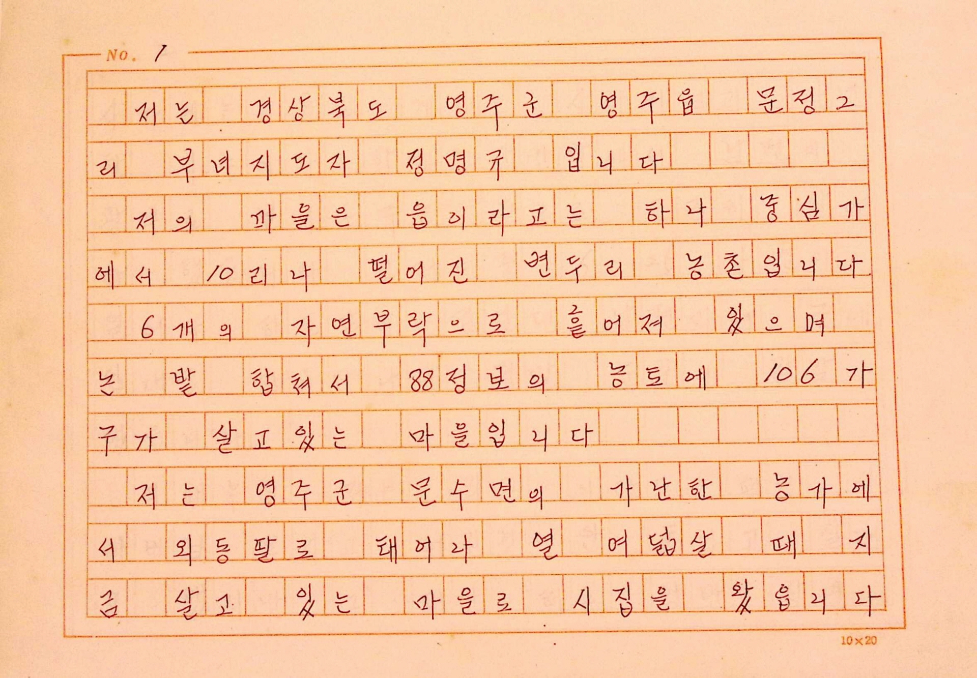 새마을운동성공사례