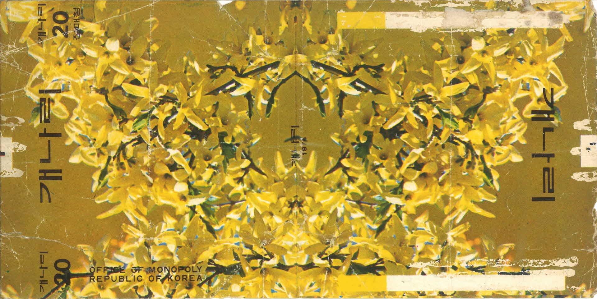 개나리 담배 포갑지