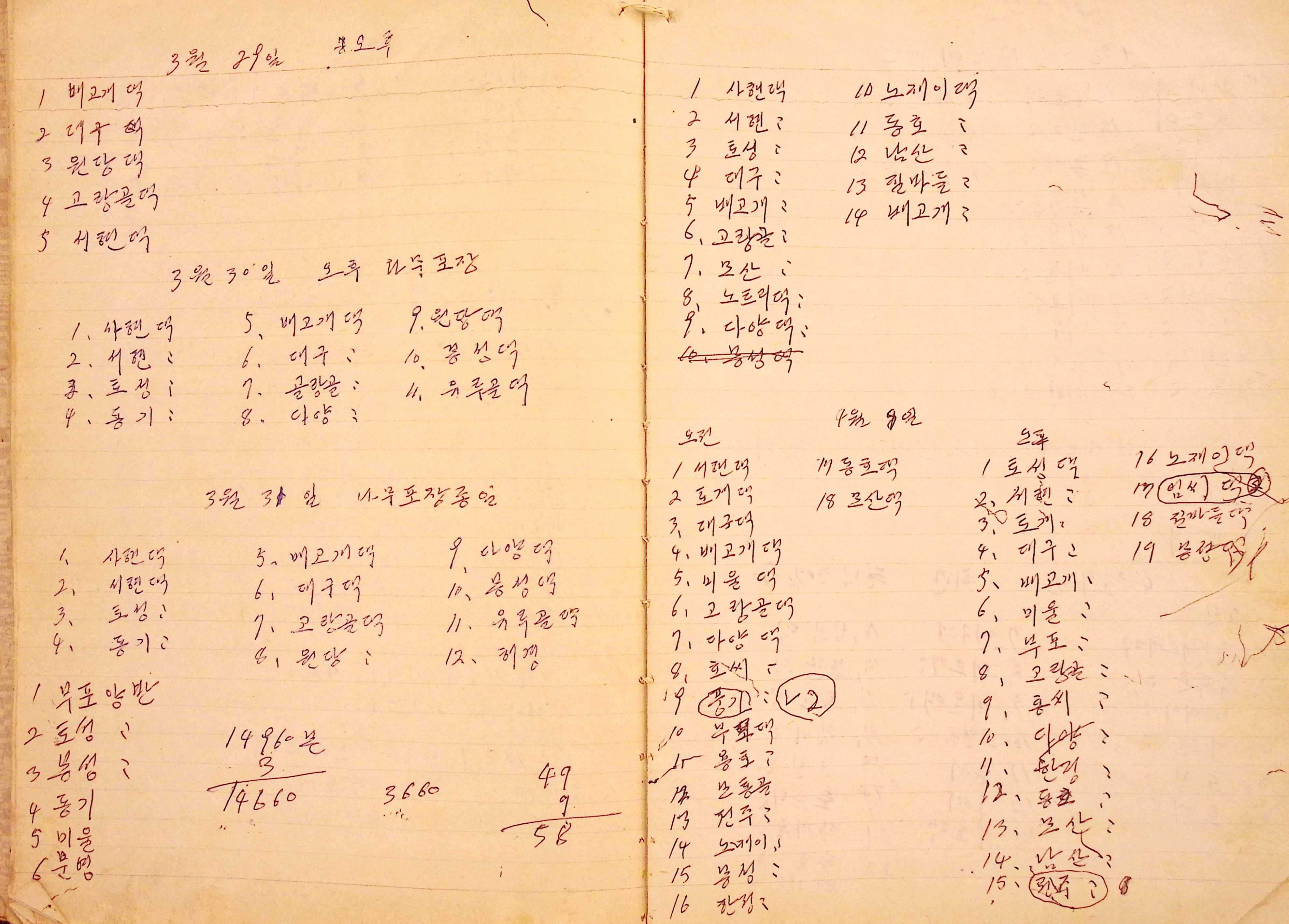 새마을 어머니회 마을 양묘 작업일지