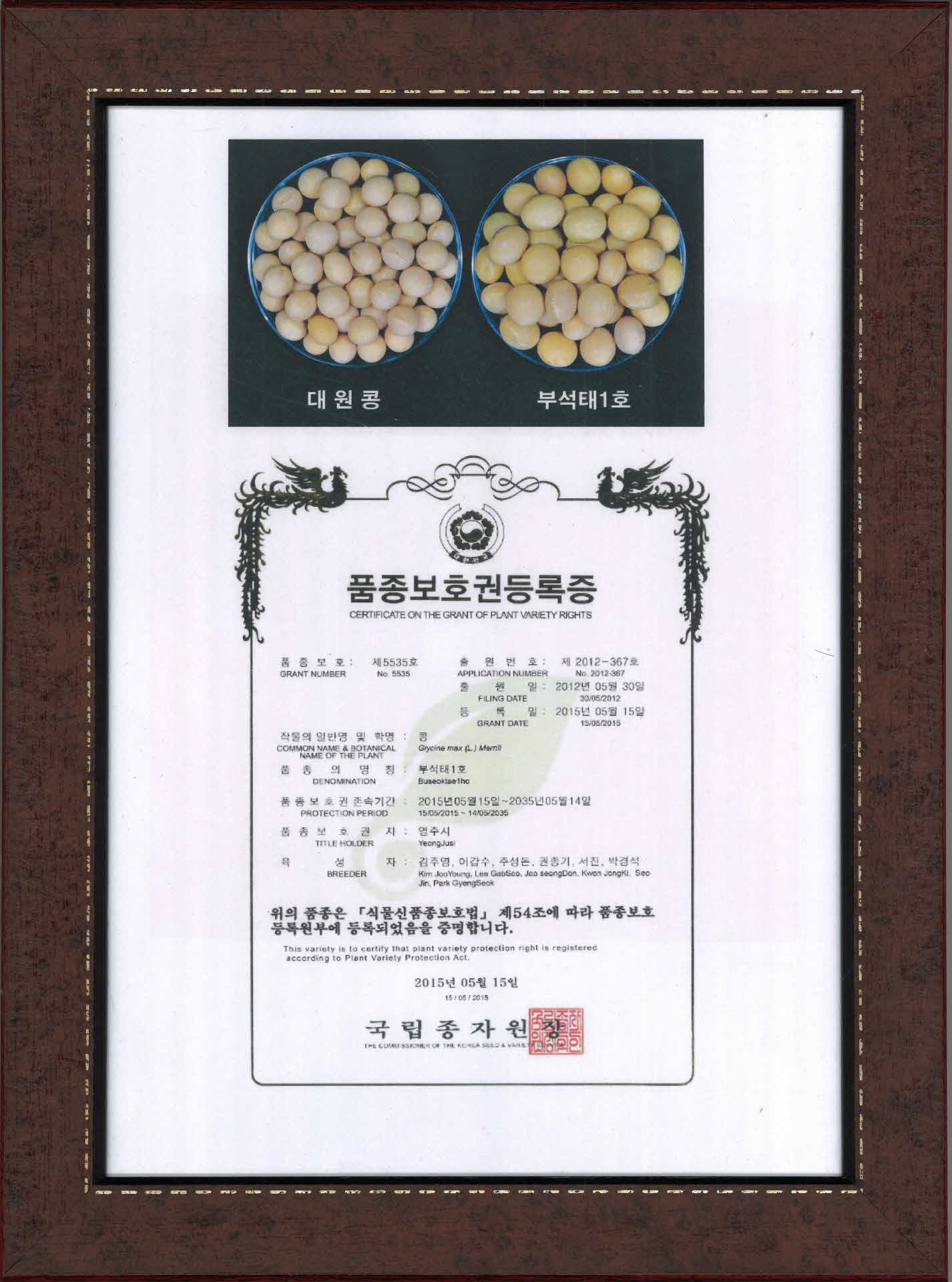 부석태1호 품종보호권등록증