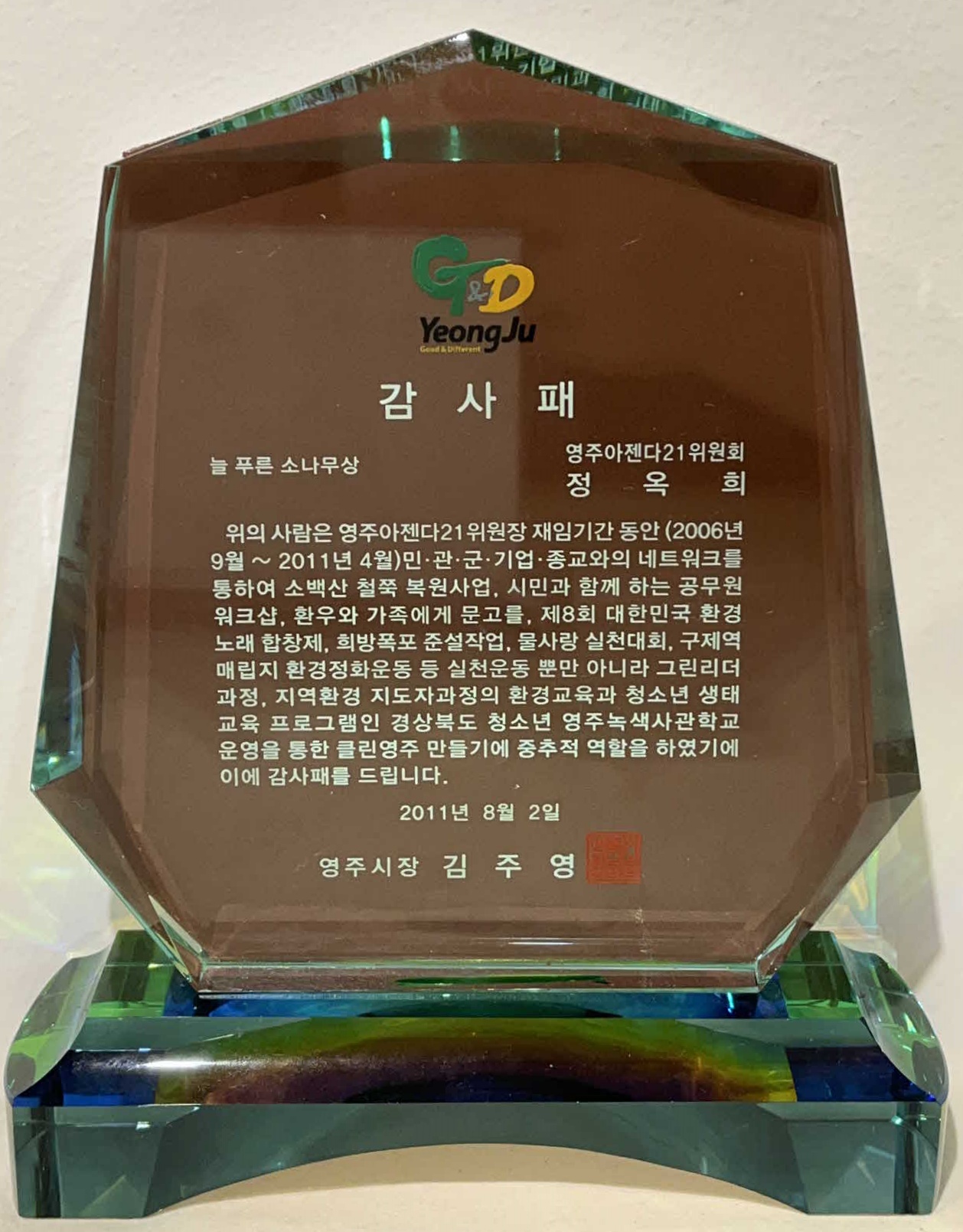 늘푸른소나무상 감사패